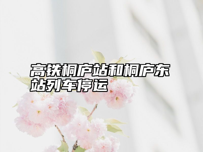 高铁桐庐站和桐庐东站列车停运