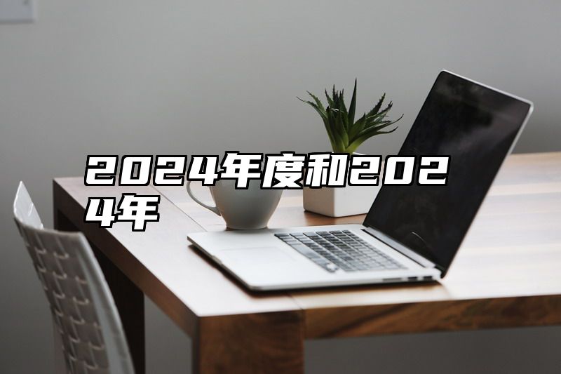 2024年度和2024年