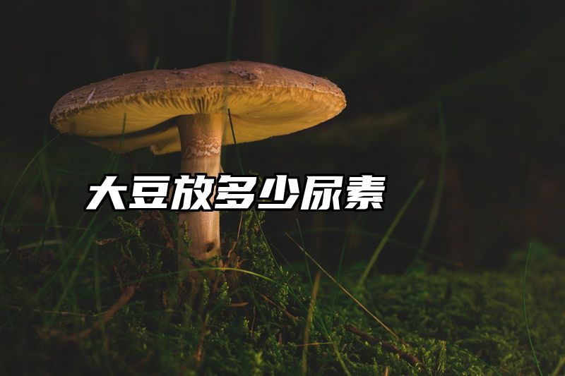大豆放多少尿素