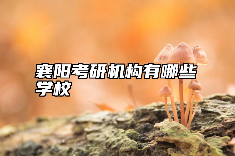 襄阳考研机构有哪些学校