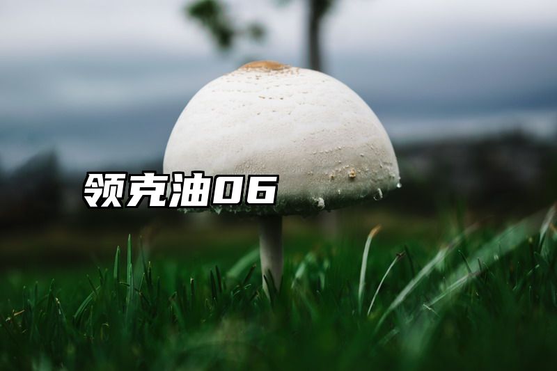 领克油06