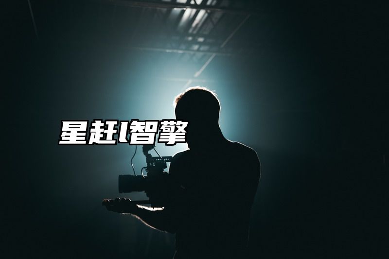 星赶l智擎