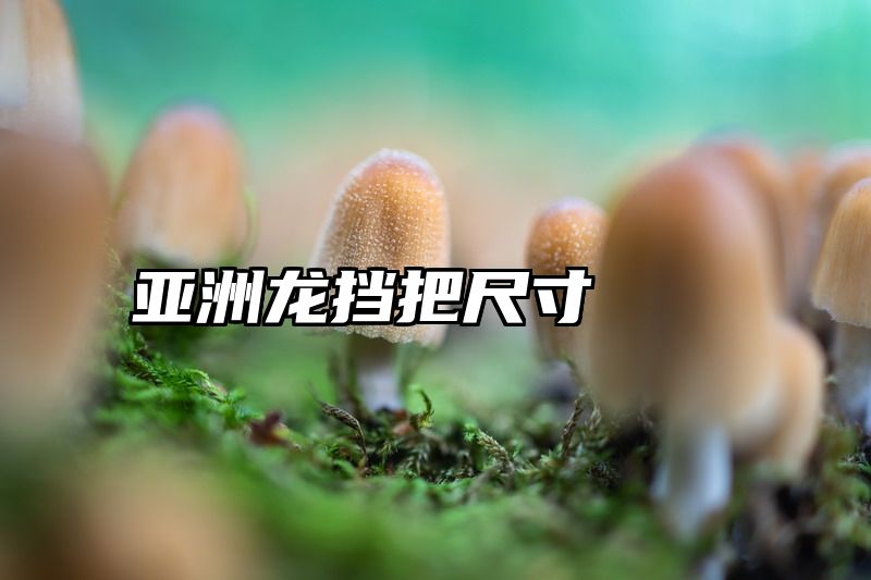 亚洲龙挡把尺寸