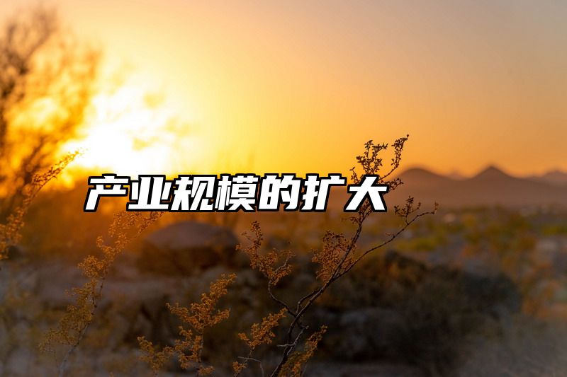 产业规模的扩大