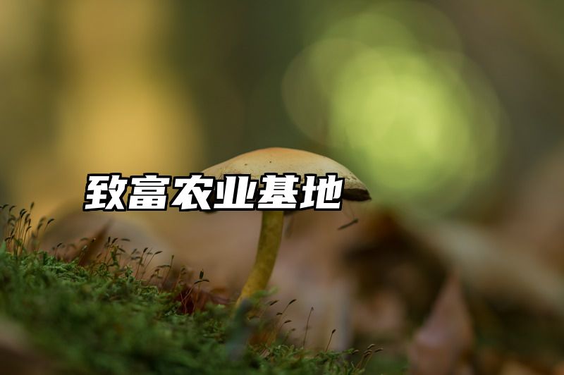 致富农业基地