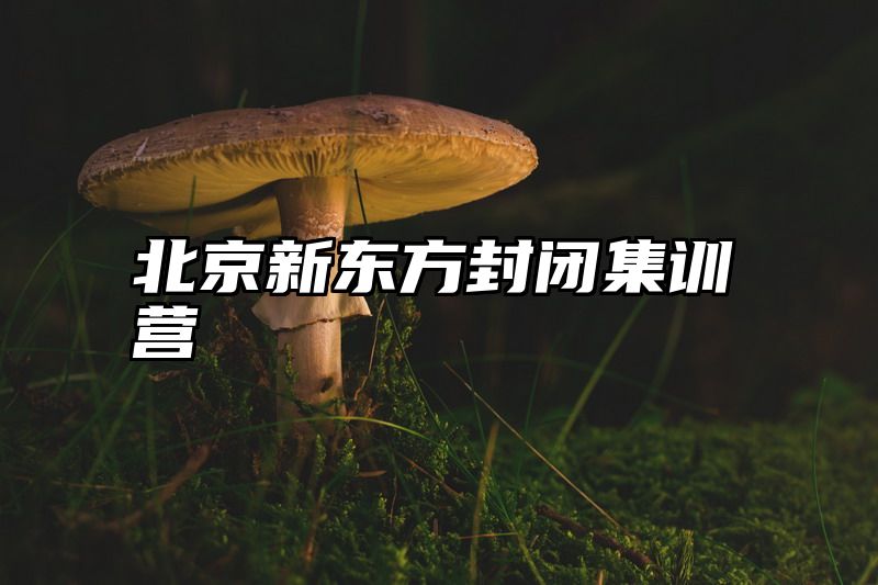北京新东方封闭集训营