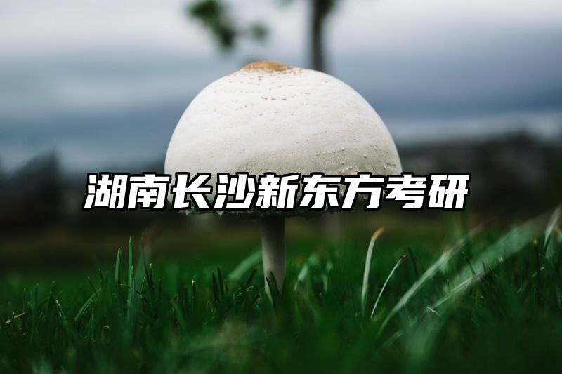 湖南长沙新东方考研