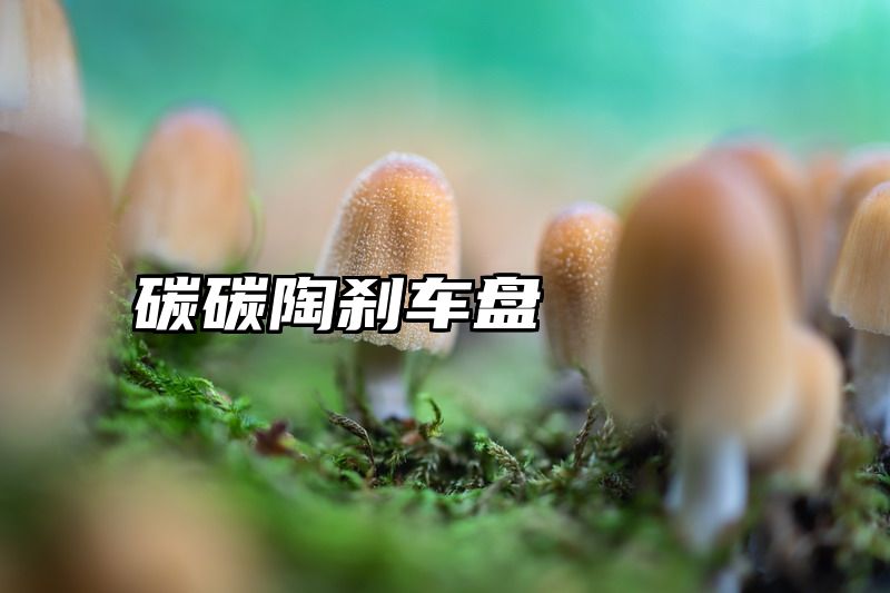 碳碳陶刹车盘