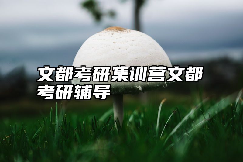 文都考研集训营文都考研辅导