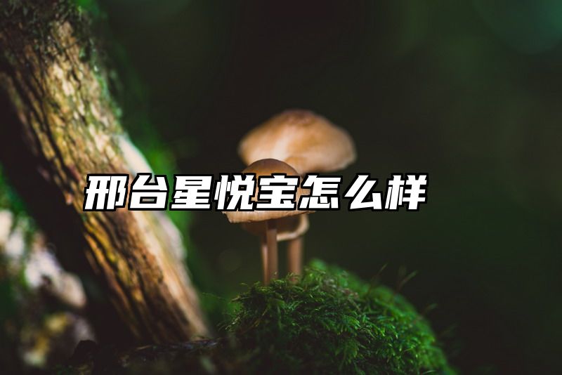 邢台星悦宝怎么样