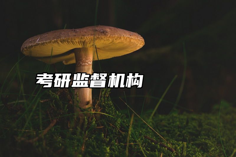 考研监督机构
