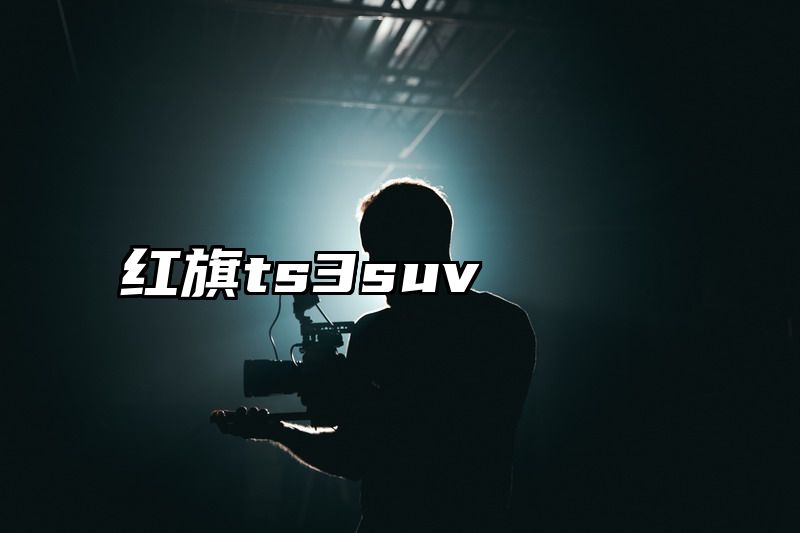 红旗ts3suv