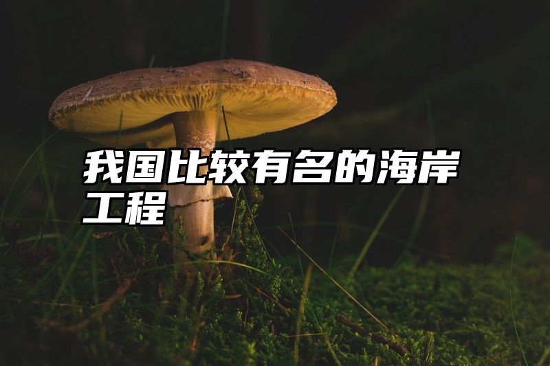 我国比较有名的海岸工程