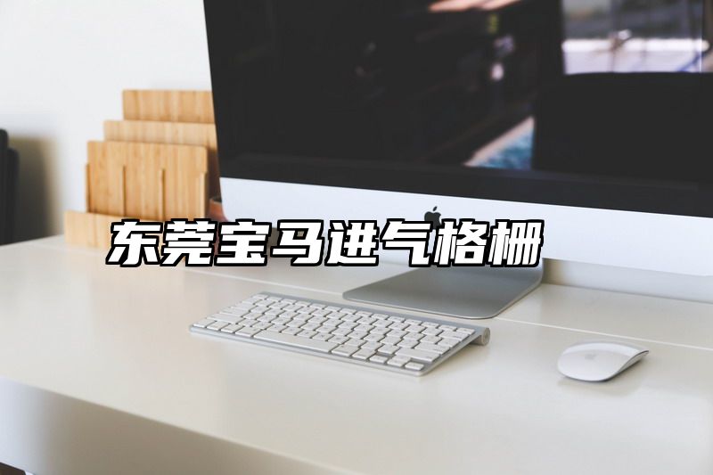 东莞宝马进气格栅
