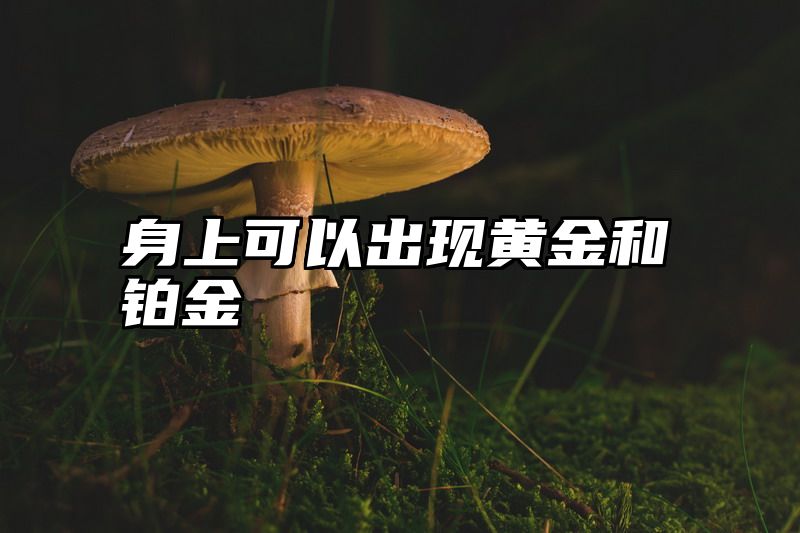 身上可以出现黄金和铂金