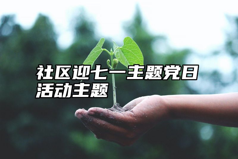 社区迎七一主题党日活动主题