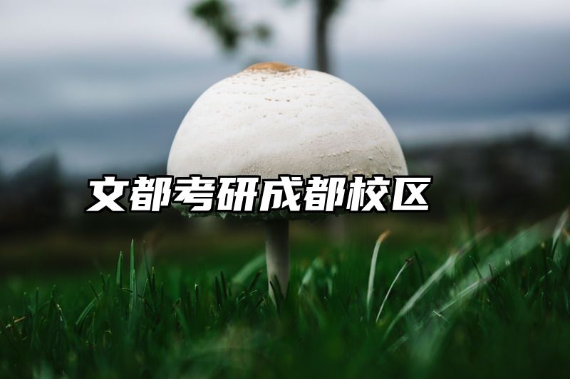 文都考研成都校区