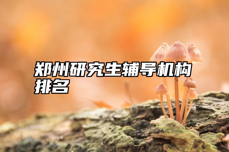 郑州研究生辅导机构排名