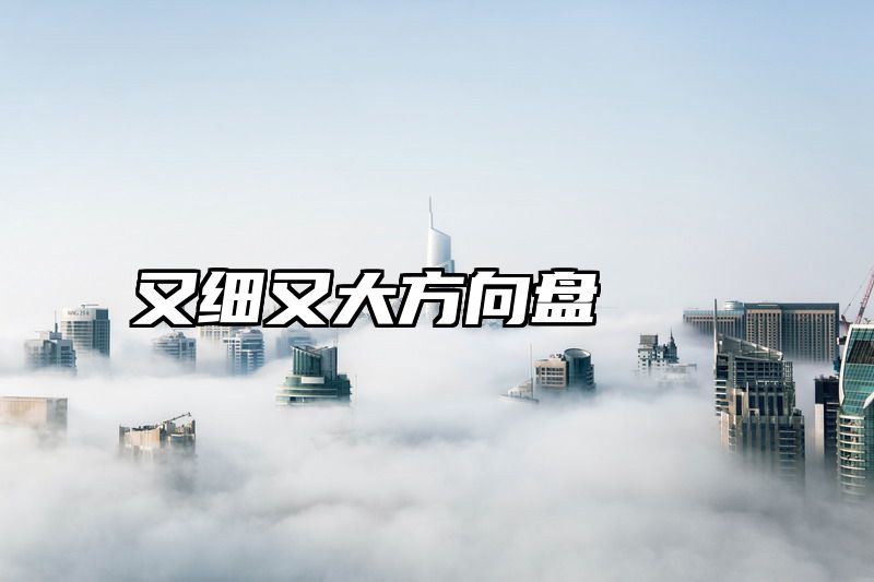 又细又大方向盘
