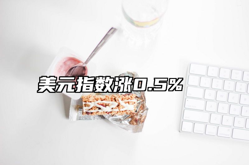 美元指数涨0.5%