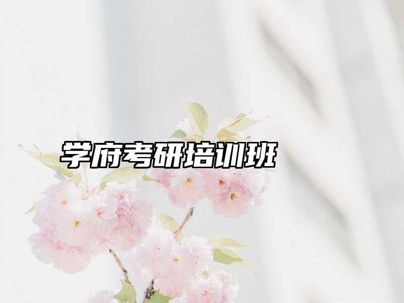 学府考研培训班