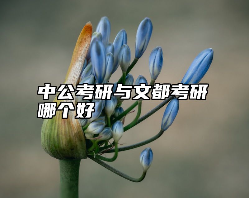 中公考研与文都考研哪个好