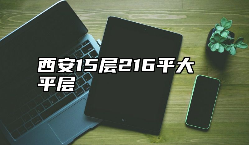 西安15层216平大平层