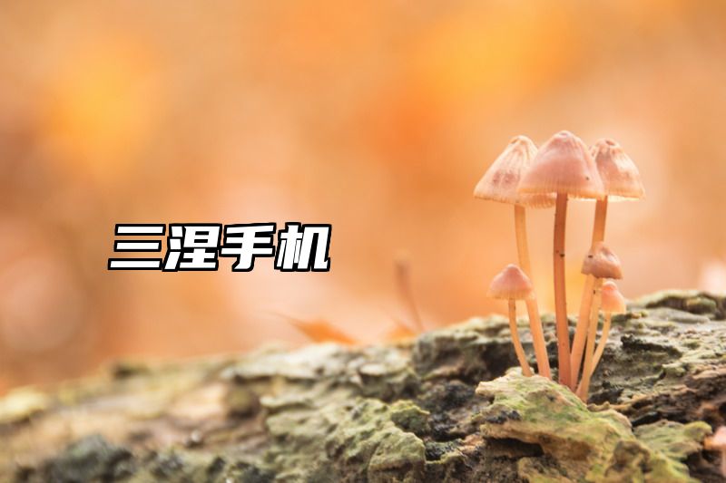 三涅手机