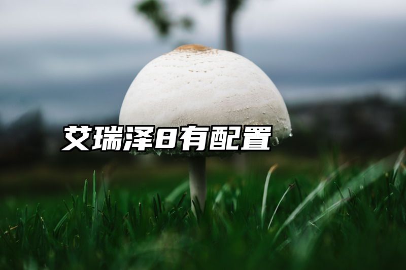 艾瑞泽8有配置