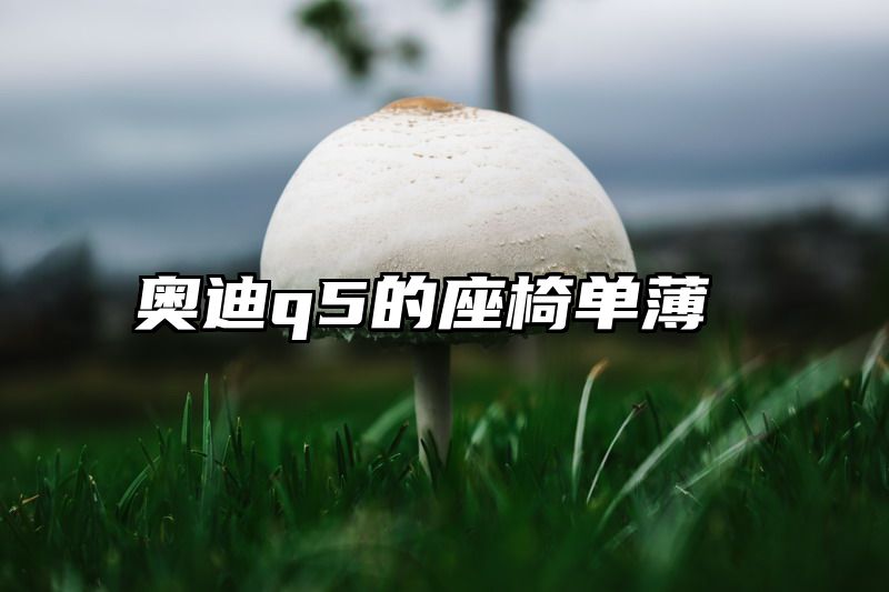 奥迪q5的座椅单薄