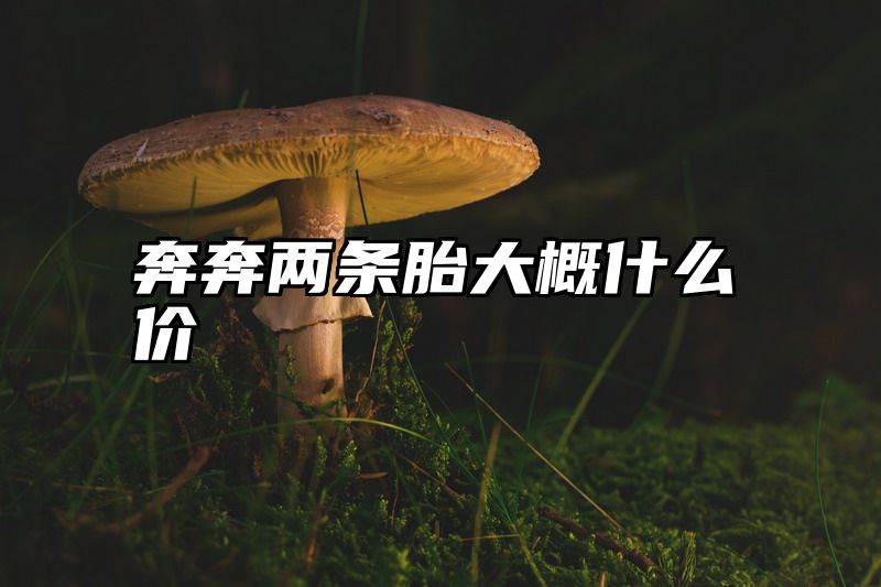 奔奔两条胎大概什么价