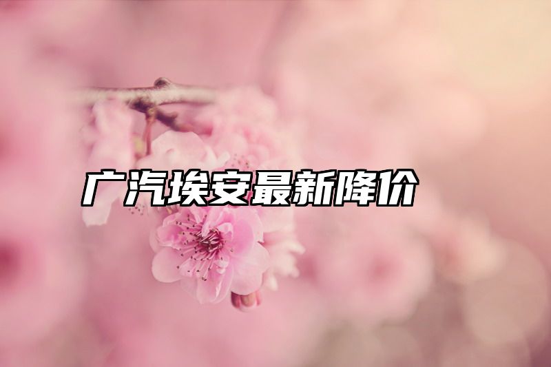 广汽埃安最新降价