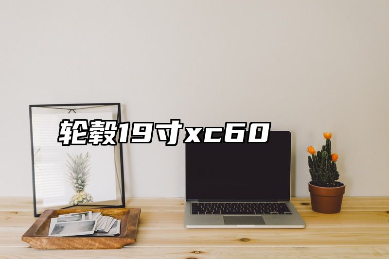 轮毂19寸xc60