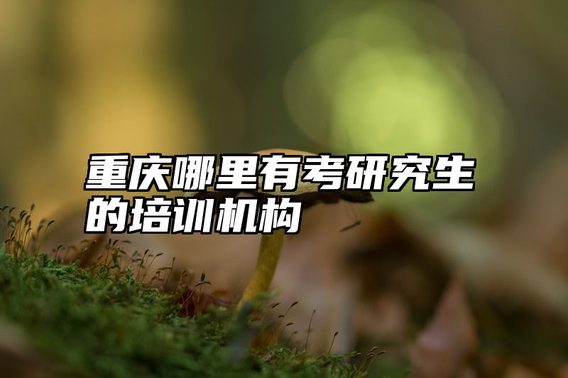 重庆哪里有考研究生的培训机构