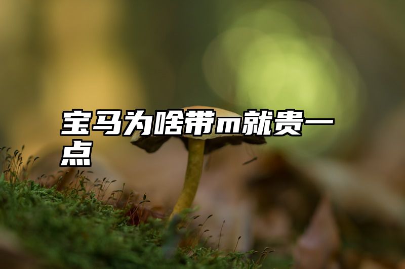 宝马为啥带m就贵一点