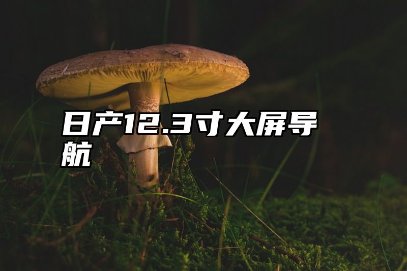 日产12.3寸大屏导航