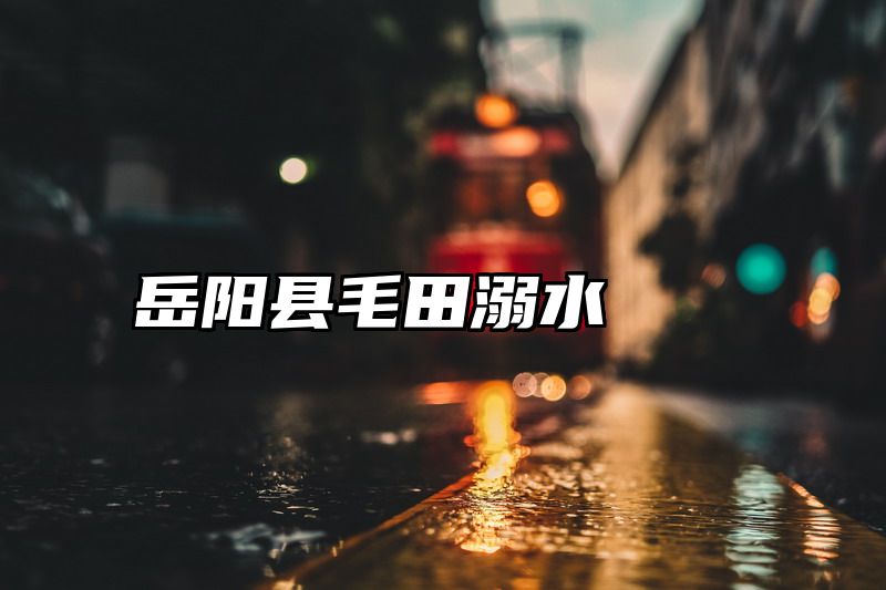 岳阳县毛田溺水
