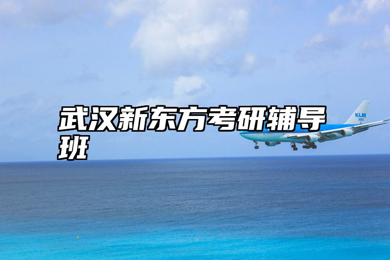 武汉新东方考研辅导班