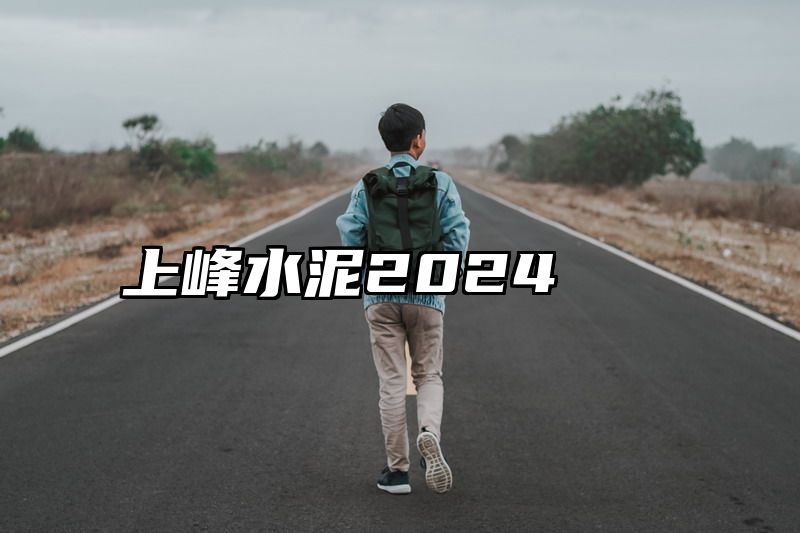 上峰水泥2024
