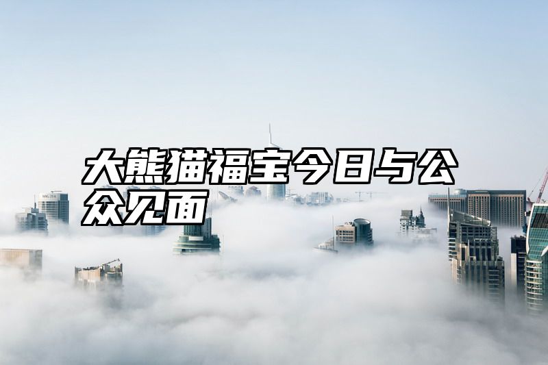 大熊猫福宝今日与公众见面