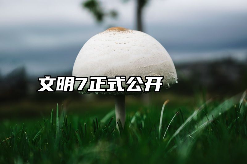 文明7正式公开
