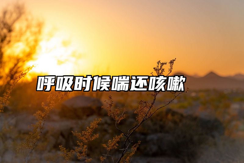 呼吸时候喘还咳嗽