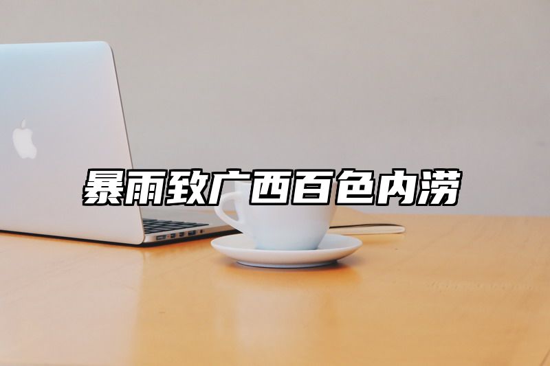 暴雨致广西百色内涝
