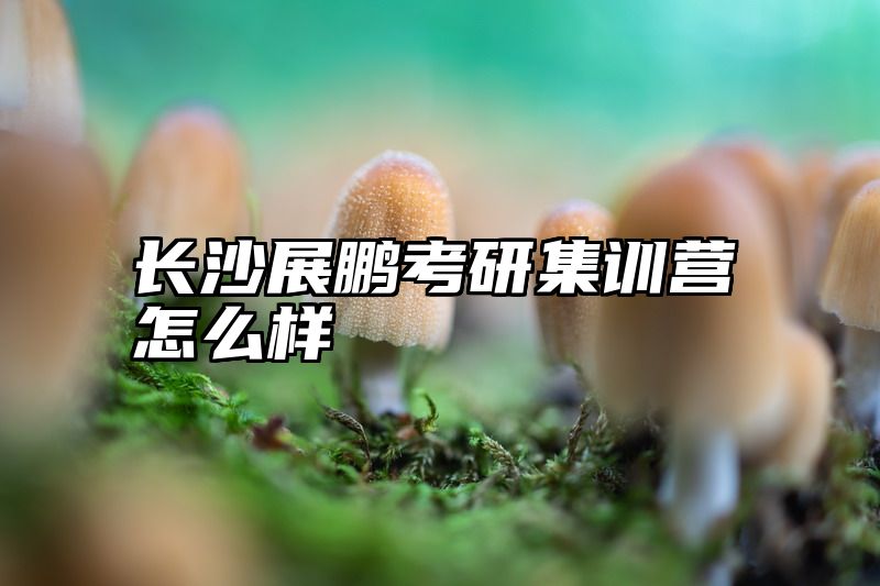 长沙展鹏考研集训营怎么样