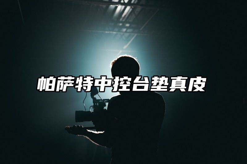 帕萨特中控台垫真皮