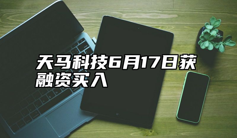 天马科技6月17日获融资买入