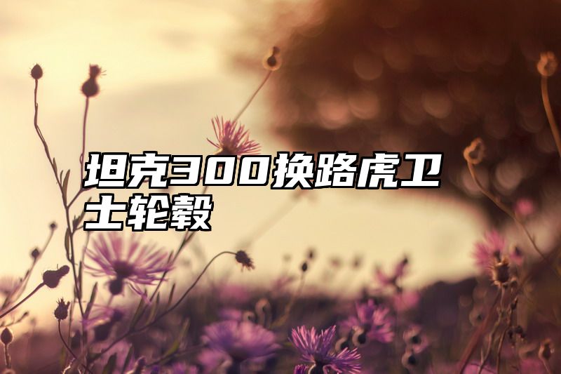 坦克300换路虎卫士轮毂