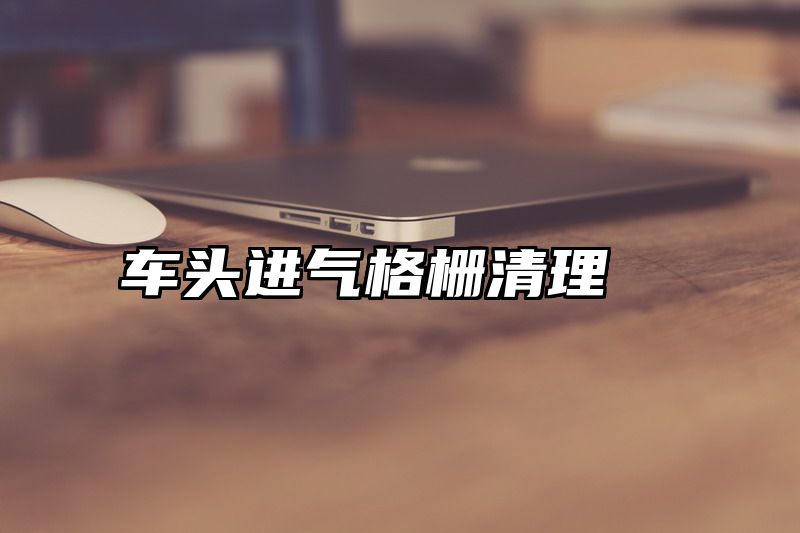 车头进气格栅清理