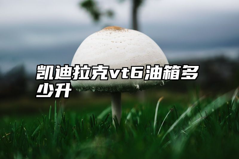 凯迪拉克vt6油箱多少升