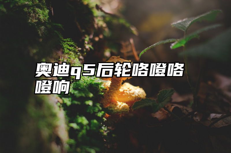 奥迪q5后轮咯噔咯噔响